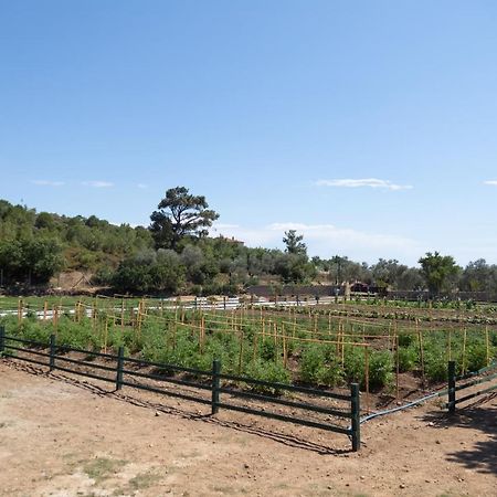 Leone Natural Ayvalik Exterior photo